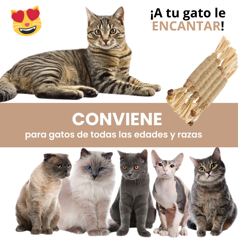 Palillo de Plata de Calidad Superior