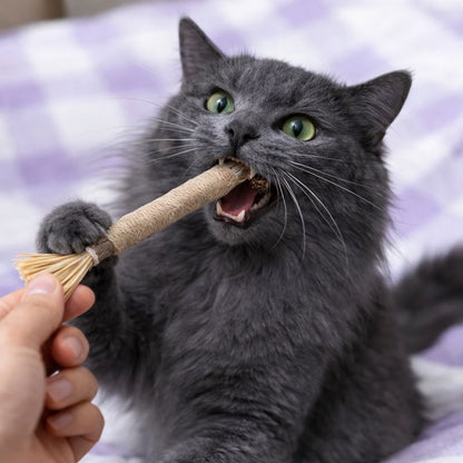 Palillo de Plata de Calidad Superior