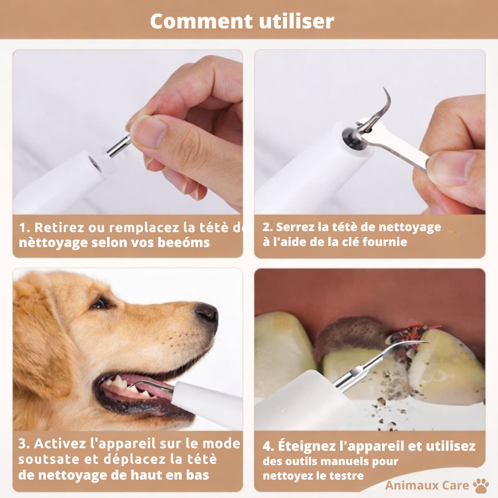 FreshSmile - Descalcificador Seguro