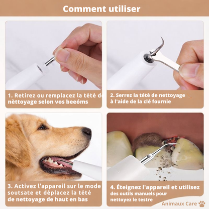 FreshSmile - Descalcificador Seguro