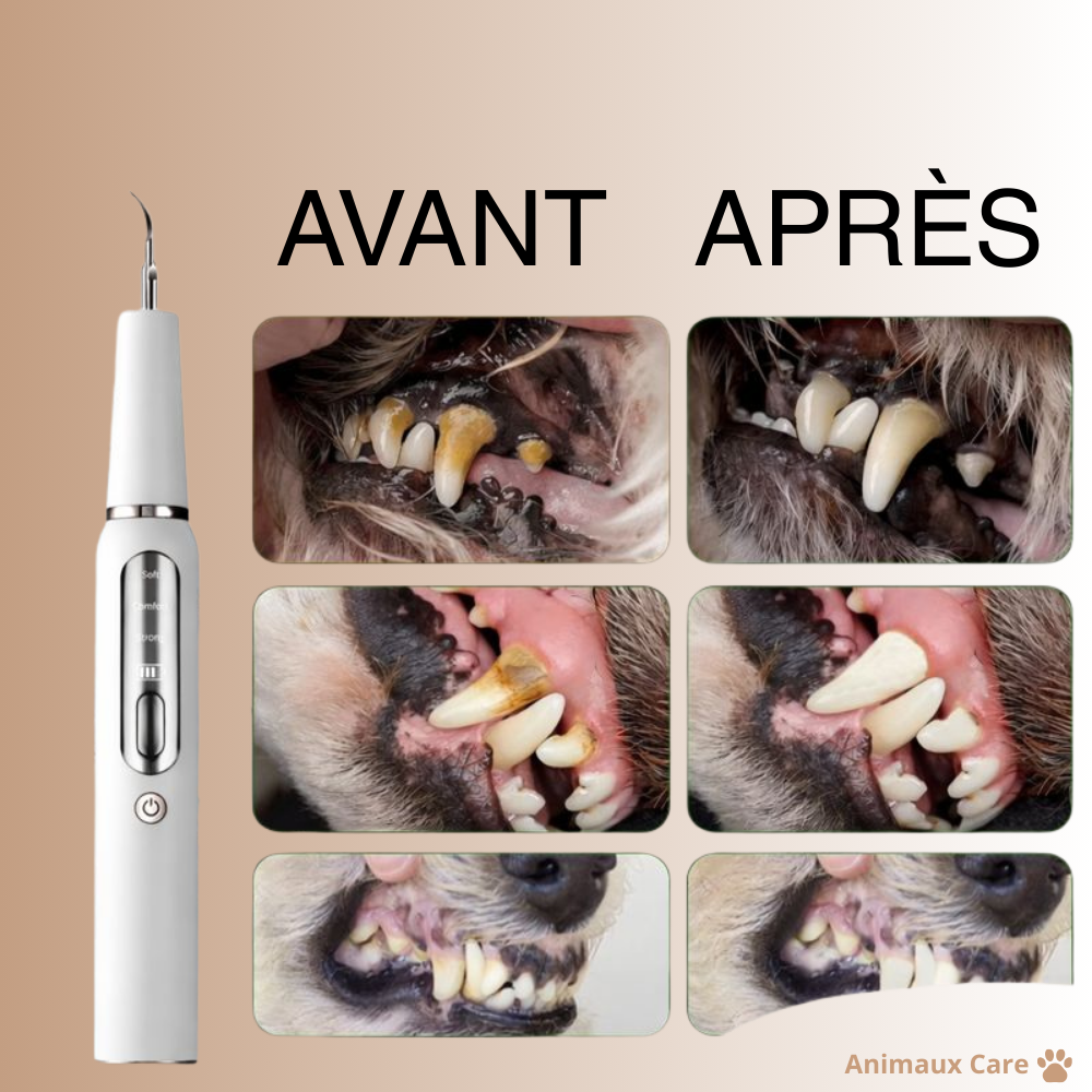 FreshSmile - Descalcificador Seguro