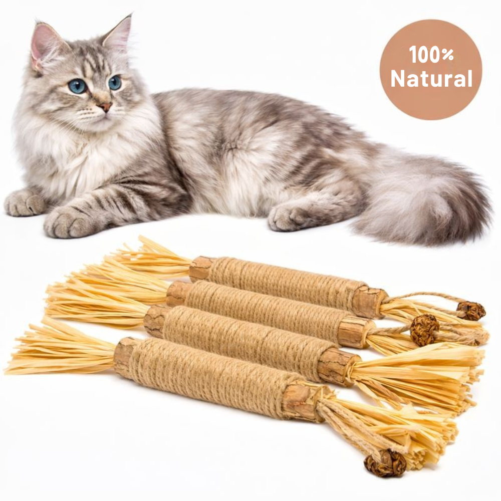 Palillo de Plata de Calidad Superior