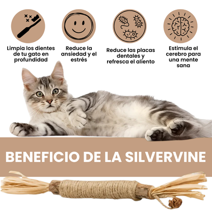 Palillo de Plata de Calidad Superior