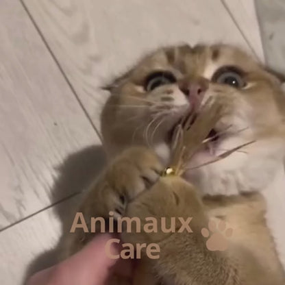 Palillo de Plata de Calidad Superior